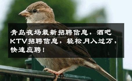 青岛夜场最新招聘信息，酒吧KTV招聘信息，轻松月入过万，快速应聘！