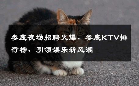 娄底夜场招聘火爆，娄底KTV排行榜，引领娱乐新风潮