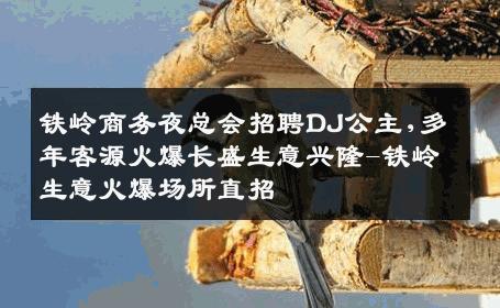 铁岭商务夜总会招聘DJ公主,多年客源火爆长盛生意兴隆-铁岭生意火爆场所直招