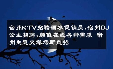 宿州KTV招聘酒水促销员,宿州DJ公主招聘,颜值在线各种需求-宿州生意火爆场所直招