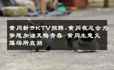 黄冈新开KTV招聘,黄冈夜总会为梦想加油无悔青春-黄冈生意火爆场所直招
