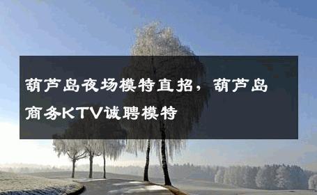 葫芦岛夜场模特直招，葫芦岛商务KTV诚聘模特