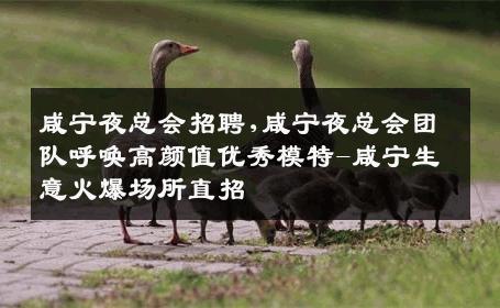 咸宁夜总会招聘,咸宁夜总会团队呼唤高颜值优秀模特-咸宁生意火爆场所直招
