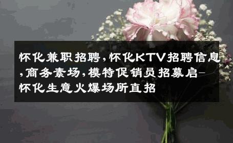 怀化兼职招聘,怀化KTV招聘信息,商务素场,模特促销员招募启-怀化生意火爆场所直招