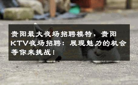 贵阳最大夜场招聘模特，贵阳KTV夜场招聘：展现魅力的机会等你来挑战！