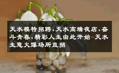 天水模特招聘,天水高端夜店,奋斗青春,精彩人生由此开始-天水生意火爆场所直招