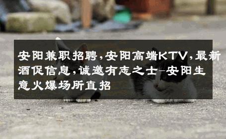安阳兼职招聘,安阳高端KTV,最新酒促信息,诚邀有志之士-安阳生意火爆场所直招