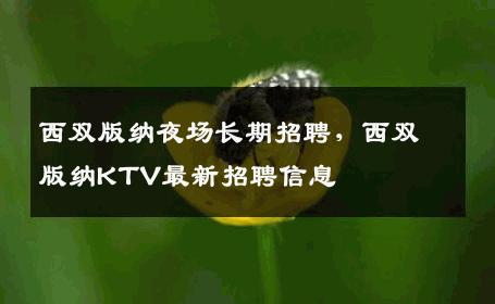 西双版纳夜场长期招聘，西双版纳KTV最新招聘信息
