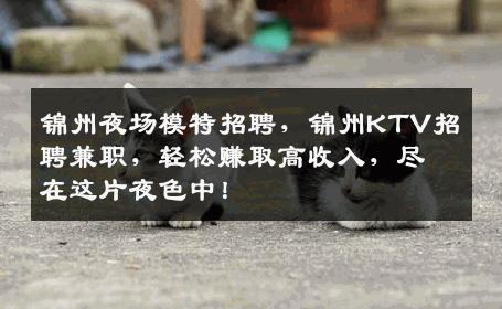 锦州夜场模特招聘，锦州KTV招聘兼职，轻松赚取高收入，尽在这片夜色中！