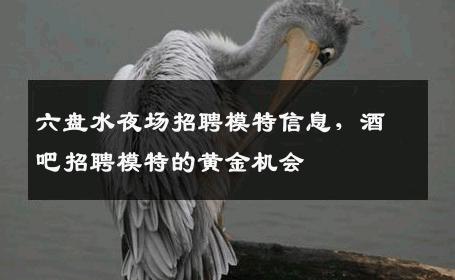 六盘水夜场招聘模特信息，酒吧招聘模特的黄金机会
