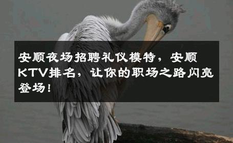 安顺夜场招聘礼仪模特，安顺KTV排名，让你的职场之路闪亮登场！
