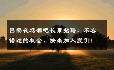吕梁夜场酒吧长期招聘：不容错过的机会，快来加入我们！