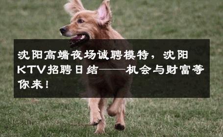 沈阳高端夜场诚聘模特，沈阳KTV招聘日结——机会与财富等你来！
