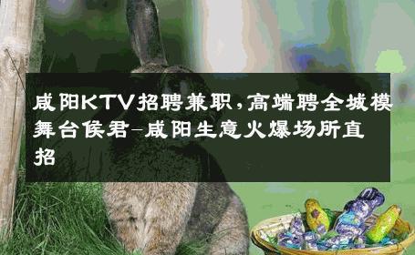咸阳KTV招聘兼职,高端聘全城模舞台候君-咸阳生意火爆场所直招