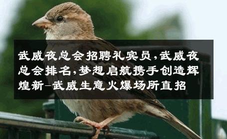 武威夜总会招聘礼宾员,武威夜总会排名,梦想启航携手创造辉煌新-武威生意火爆场所直招