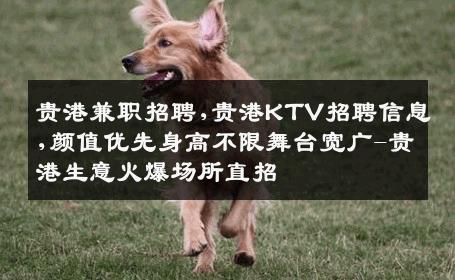 贵港兼职招聘,贵港KTV招聘信息,颜值优先身高不限舞台宽广-贵港生意火爆场所直招