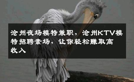 沧州夜场模特兼职，沧州KTV模特招聘素场，让你轻松赚取高收入