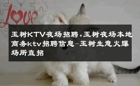 玉树KTV夜场招聘,玉树夜场本地商务ktv招聘信息-玉树生意火爆场所直招