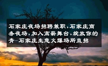 石家庄夜场招聘兼职,石家庄商务夜场,加入高薪舞台,绽放你的青-石家庄生意火爆场所直招