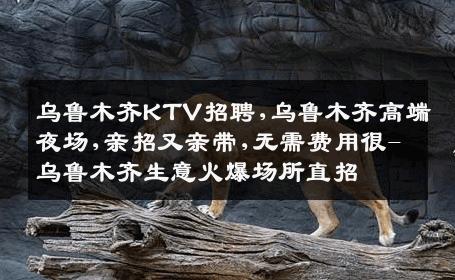 乌鲁木齐KTV招聘,乌鲁木齐高端夜场,亲招又亲带,无需费用很-乌鲁木齐生意火爆场所直招