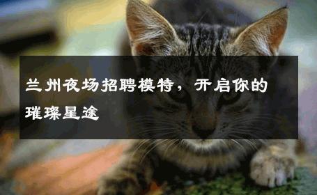 兰州夜场招聘模特，开启你的璀璨星途