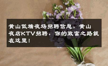 黄山低端夜场招聘信息，黄山夜店KTV招聘，你的致富之路就在这里！