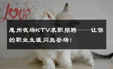惠州夜场KTV求职招聘——让你的职业生涯闪亮登场！
