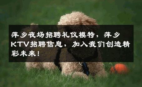 萍乡夜场招聘礼仪模特，萍乡KTV招聘信息，加入我们创造精彩未来！