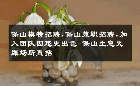 保山模特招聘,保山兼职招聘,加入团队因您更出色-保山生意火爆场所直招
