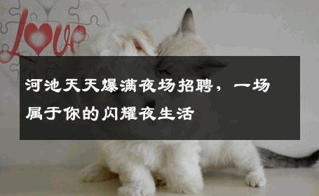 河池天天爆满夜场招聘，一场属于你的闪耀夜生活