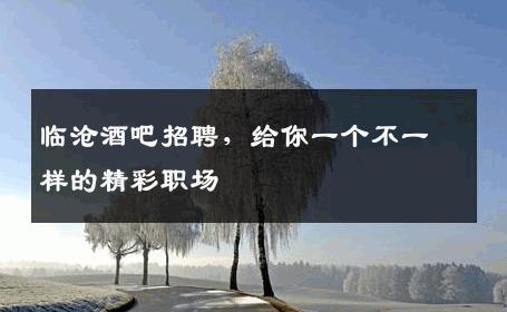 临沧酒吧招聘，给你一个不一样的精彩职场