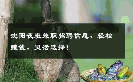 沈阳夜班兼职招聘信息，轻松赚钱，灵活选择！