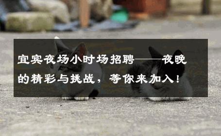 宜宾夜场小时场招聘——夜晚的精彩与挑战，等你来加入！