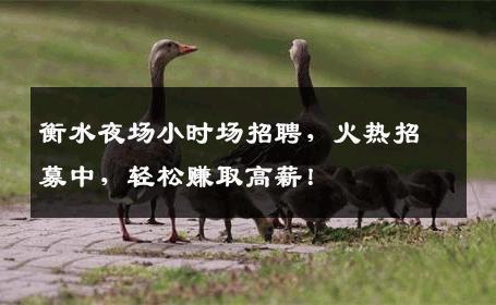 衡水夜场小时场招聘，火热招募中，轻松赚取高薪！