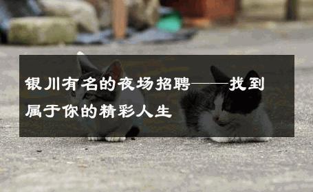 银川有名的夜场招聘——找到属于你的精彩人生