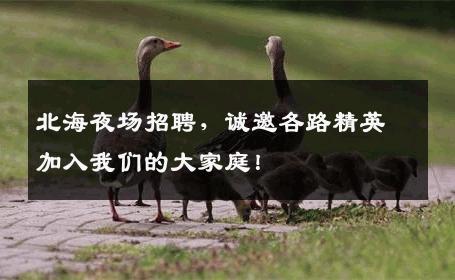 北海夜场招聘，诚邀各路精英加入我们的大家庭！