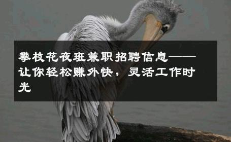 攀枝花夜班兼职招聘信息——让你轻松赚外快，灵活工作时光