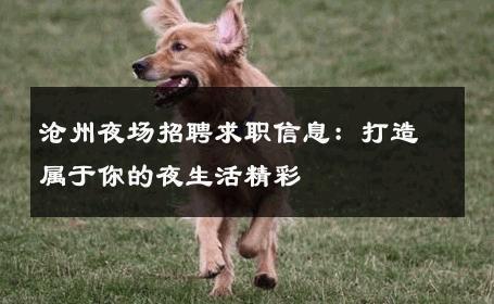 沧州夜场招聘求职信息：打造属于你的夜生活精彩