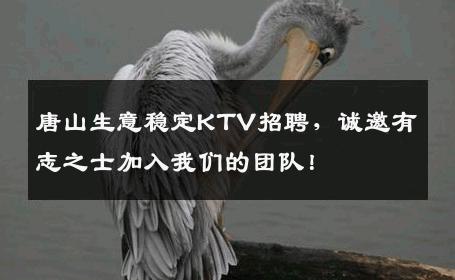 唐山生意稳定KTV招聘，诚邀有志之士加入我们的团队！