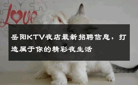岳阳KTV夜店最新招聘信息，打造属于你的精彩夜生活