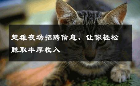 楚雄夜场招聘信息，让你轻松赚取丰厚收入