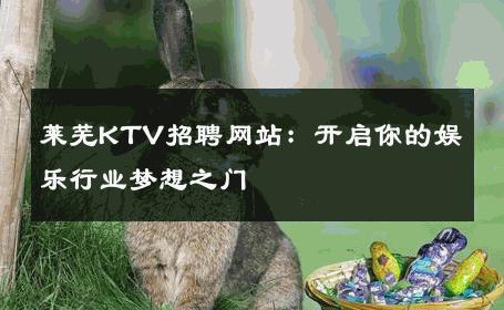 莱芜KTV招聘网站：开启你的娱乐行业梦想之门