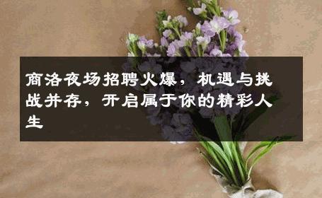 商洛夜场招聘火爆，机遇与挑战并存，开启属于你的精彩人生