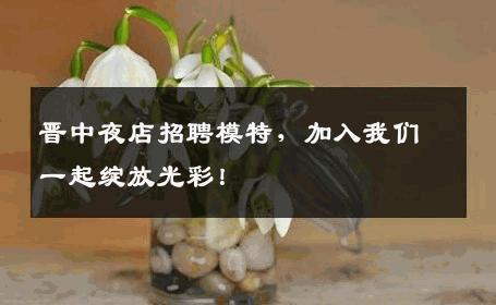 晋中夜店招聘模特，加入我们一起绽放光彩！