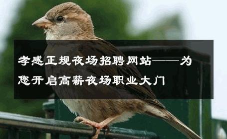 孝感正规夜场招聘网站——为您开启高薪夜场职业大门