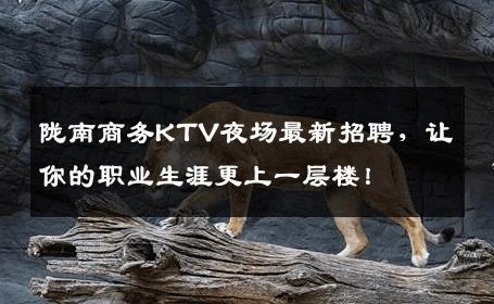 陇南商务KTV夜场最新招聘，让你的职业生涯更上一层楼！