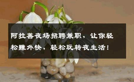 阿拉善夜场招聘兼职，让你轻松赚外快，轻松玩转夜生活！