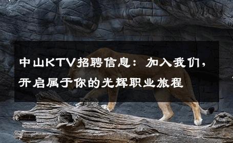 中山KTV招聘信息：加入我们，开启属于你的光辉职业旅程