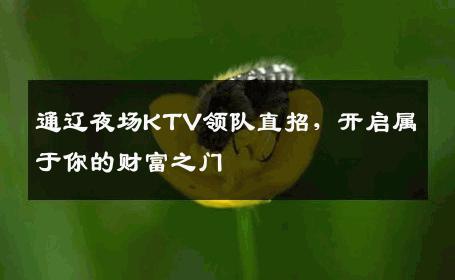 通辽夜场KTV领队直招，开启属于你的财富之门