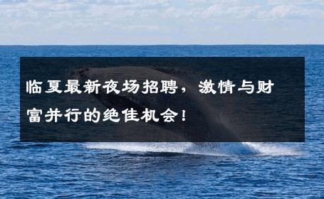 临夏最新夜场招聘，激情与财富并行的绝佳机会！